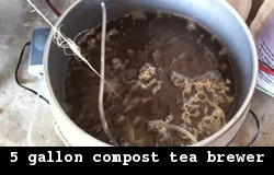 5 gallon compost tea brewer